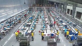 缅甸新热点 现有600多家服装厂,中资企业占大半